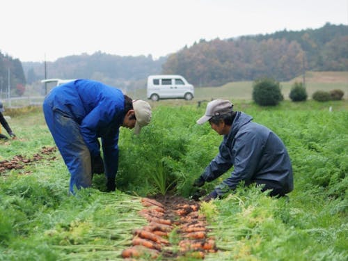 暮らしの延長に、収穫の手応えがある