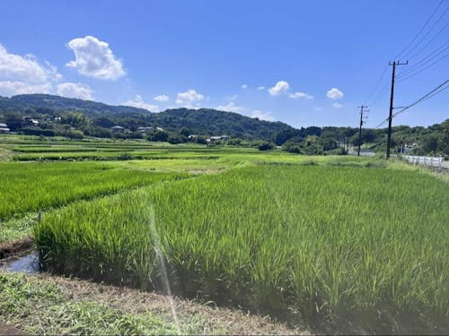 実際に訪れる場所①（神奈川県大井町）