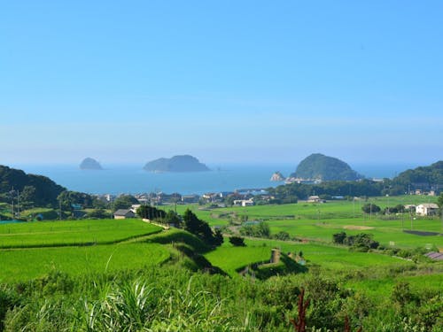 大浦地区から眺める海