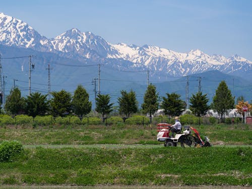 田植えの季節です。天候が合えば、田植えのお仕事も！