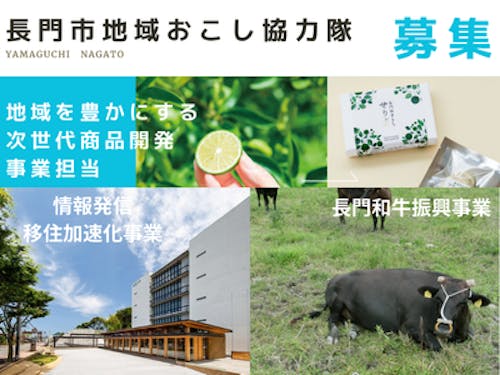 地域おこし協力隊募集