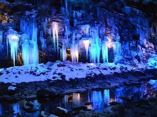 秩父の冬の風物詩氷柱