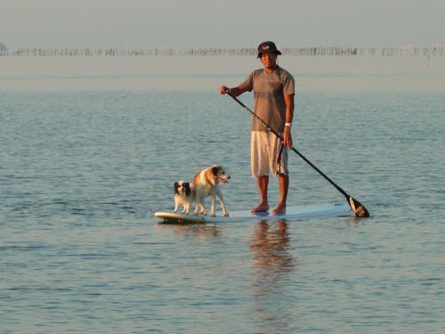 びわ湖マリンスポーツ(レイクスポーツという方が正しい⁉)