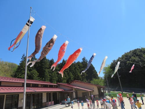 見学では、島のリアルな暮らしが感じられる行程でご案内します！