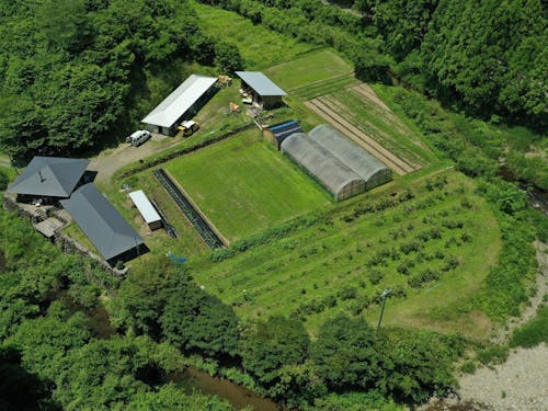 360度自然に囲まれた大野見下ル川での暮らし