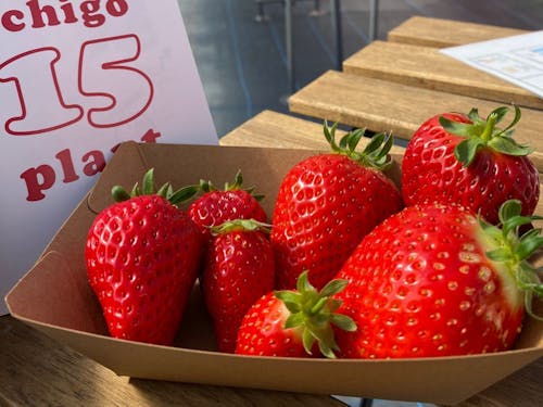 30を超えるイチゴ農園