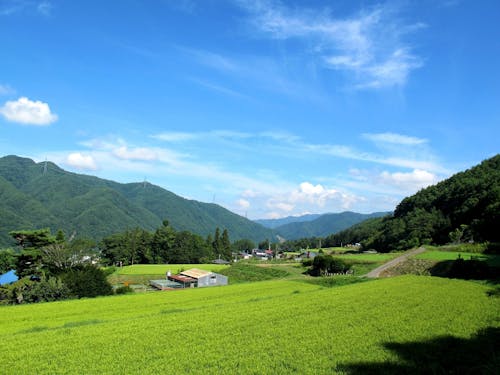 のんびりとした山間部の景色
