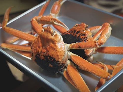 アクティビティを楽しんだり、新鮮な海産物を味わったりと、豊かな暮らしができます