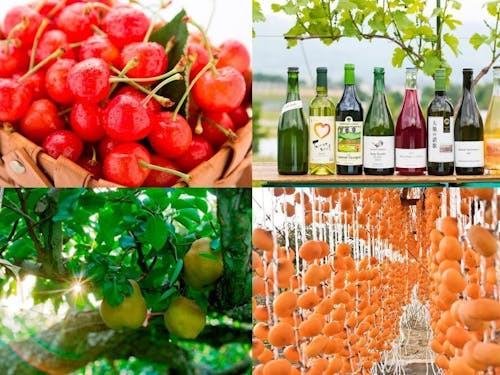 四季折々のフルーツとワインが特産!