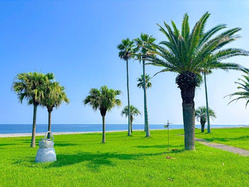 歩いてすぐの海の公園でリフレッシュも