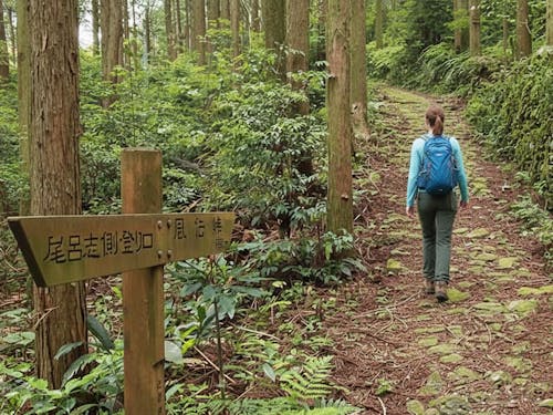 世界遺産「紀伊山地の霊場と参詣道」熊野古道・風伝峠