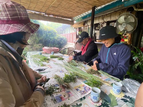 辺戸ウォークで体験できる野草体験