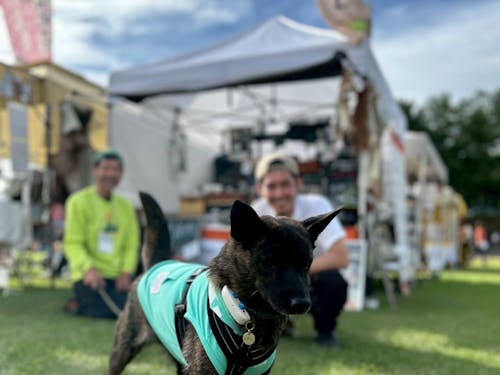 鹿商品を犬のイベントへ出店している時の様子（犬好きな方も大歓迎です♪）