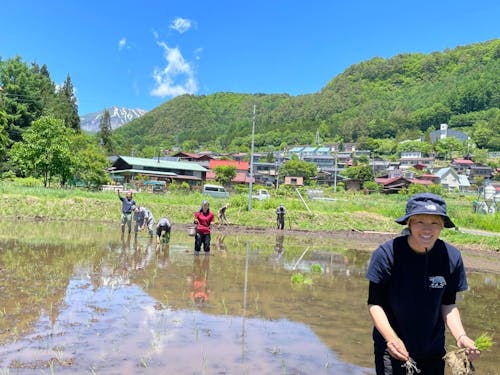 快晴の手植えな田植え