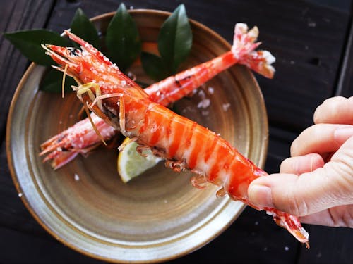 養殖発祥の地・上天草の豊かな海で育つ、ぷりぷり食感が自慢の車エビ。