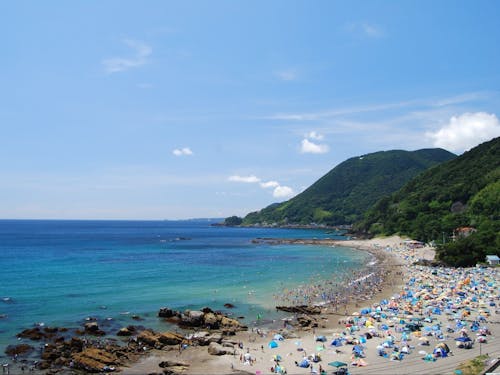 夏の河津も魅力的