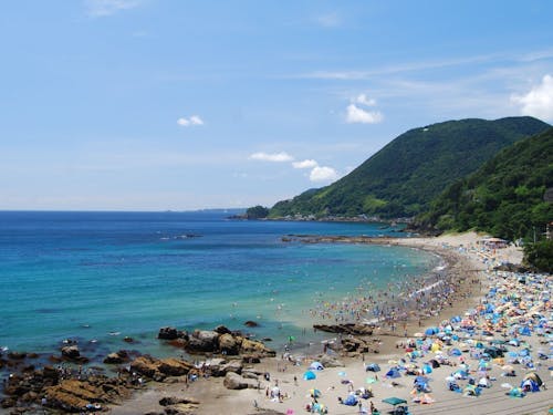 夏の河津も魅力的