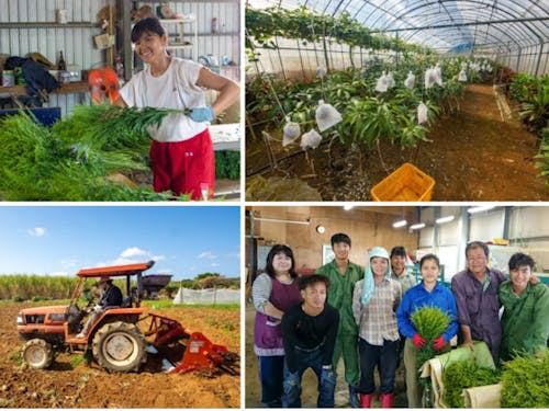 花農家で一緒に働く仲間たち!
