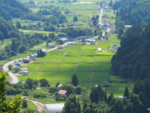 深山地区で全体で和紙の技術を守っています