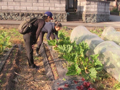 農業や田舎暮らしのこともご相談ください