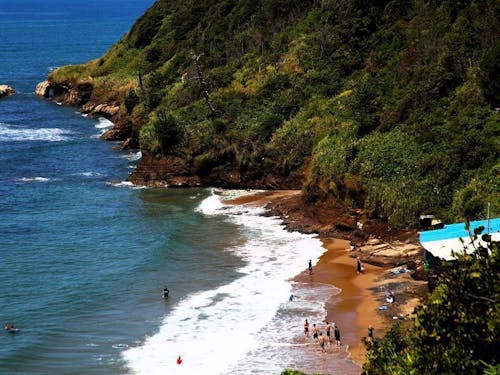 食生活の質を底上げするカニやブリ、カキ、サザエ、メギス、ハタハタといった海鮮。