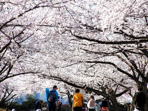 こどもたちで賑わう、広い公園には様々な遊具も。【加賀市中央公園】