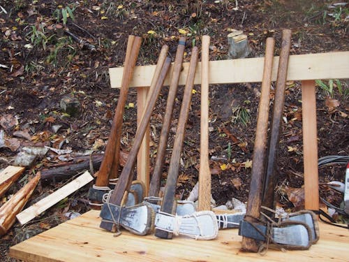 「三ツ紐伐り」で御神木を伐り出します