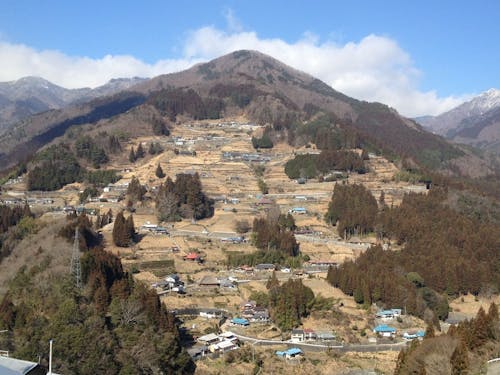 “桃源郷祖谷の山里”。重伝建に指定されている落合集落に8棟の古民家宿を運営。