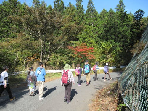 毎年川前町で行われるウォーキングイベント