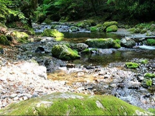 自然豊かな秩父市の景色