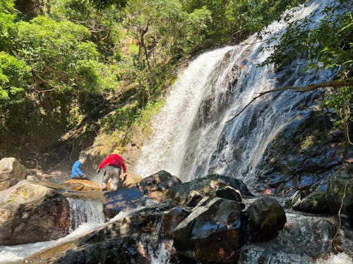 佐多の山中を歩くと、こんな滝がたくさん出てきます。現地ガイドは必須です……！