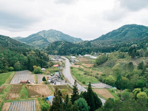 村全体の9割が森林面積となります