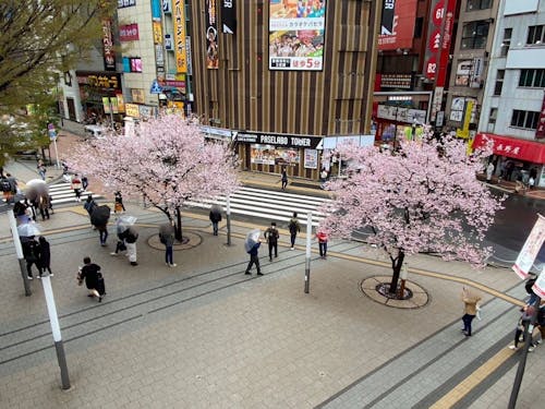 会場周辺の様子