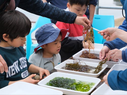 海藻押葉体験に参加する子どもたち