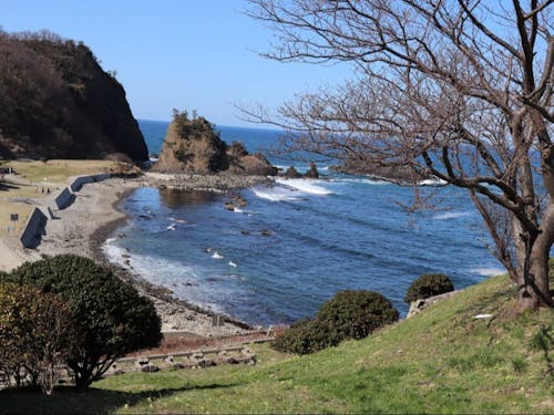 釣り好きにはたまりません！一年中釣りが楽しめます。お仕事前にも！