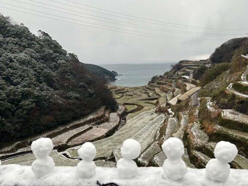雪と雪だるまの棚田