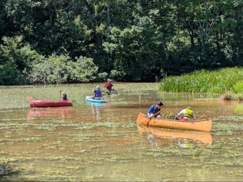 森のなかのコース整備の様子。カヌーに乗って池の水草を刈り取ることも