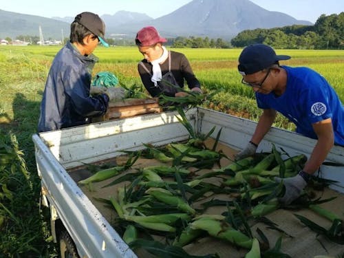 ワーカーは数ヶ月単位で勤務先を変えながら、組合からの固定給を受け取ることができる