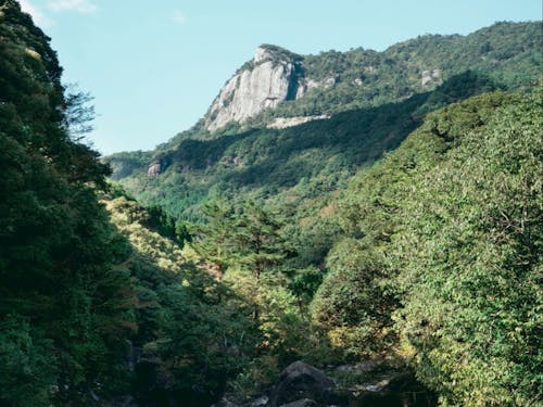 九州最後の秘境とも言われる大崩山の麓が私たちの拠点です⛰️