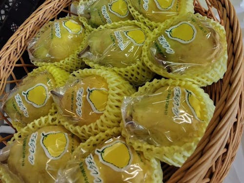 レクチェ「幻の洋梨」希少な最高級品種