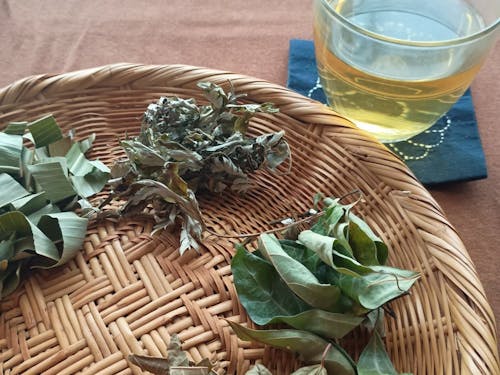 高嶋さん手作りの野草茶