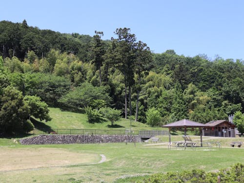 しょうらい公園