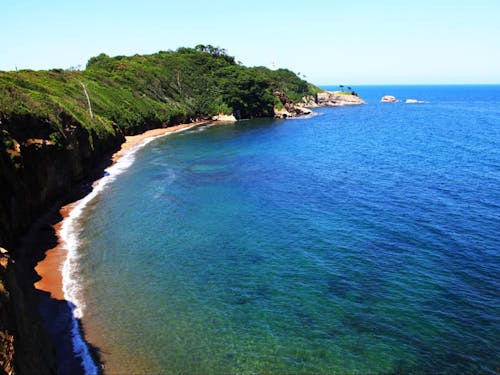 食生活の質を底上げするカニやブリ、カキ、サザエ、メギス、ハタハタといった海鮮。