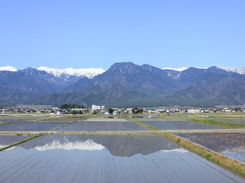 5月初旬には水鏡の景色が広がります