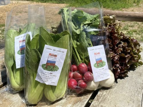 みんなで作った野菜は学校給食や道の駅でも販売！