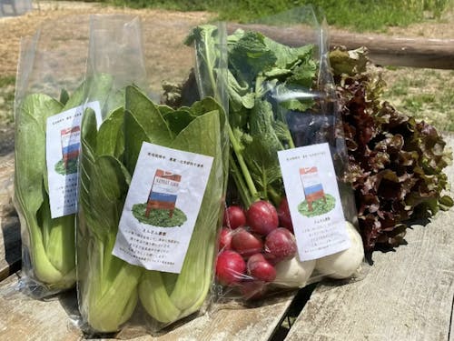 みんなで作った野菜は学校給食や道の駅でも販売!