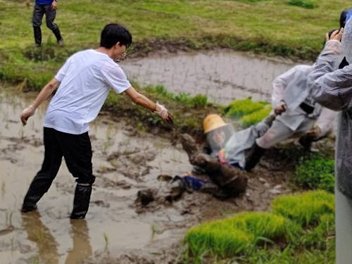 雨の中で田植え「どろんこでも大丈夫」