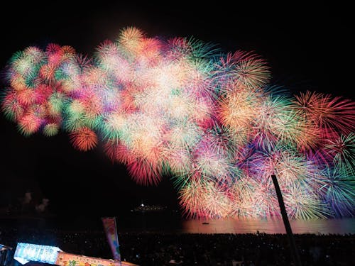 和田煙火店の代表作「彩色千輪菊」