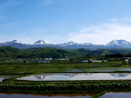 田園風景とニセコ連峰