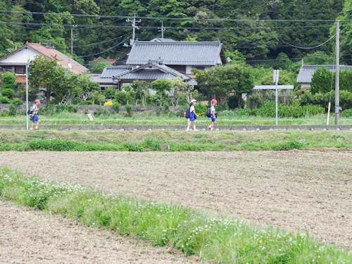 田んぼの畦道を登下校する田万川の子ども。こんな長閑な風景の中で原さんは育ちました